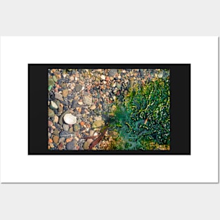 Rock Pool With Beach Pebbles & Seaweed - Abstract Coastal - #1 Posters and Art